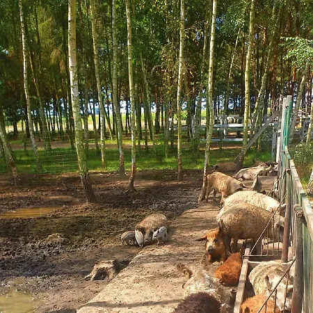 Osrodek Agroturystyczny Zacisze *