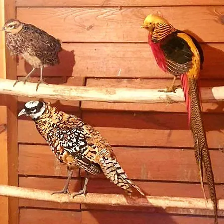 Osrodek Agroturystyczny Zacisze *