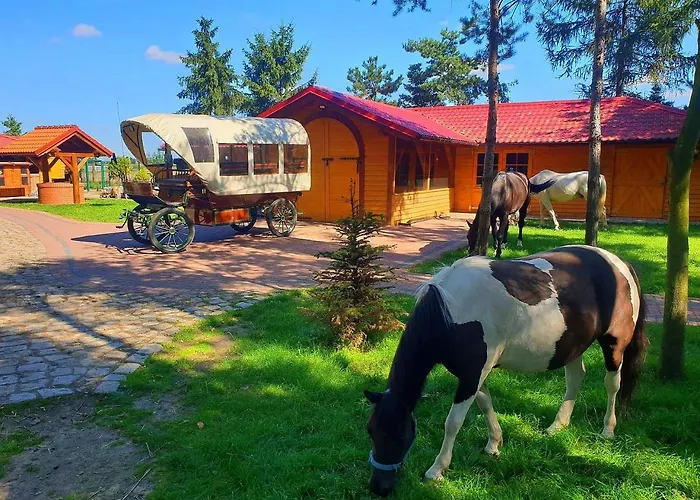 Osrodek Agroturystyczny Zacisze 农家乐 Giewartów