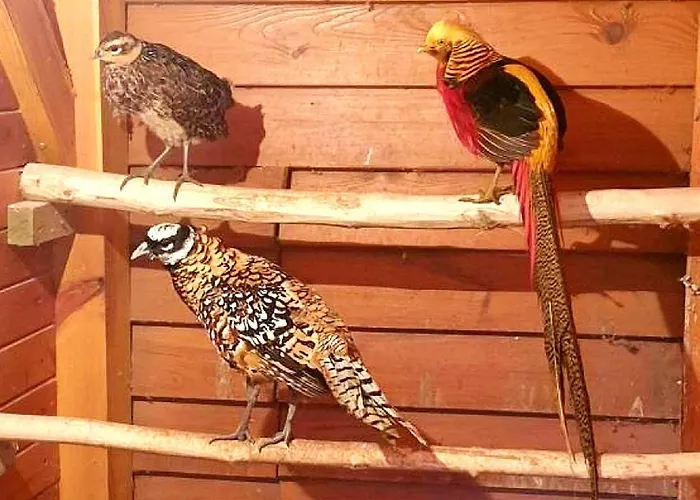 Osrodek Agroturystyczny Zacisze *